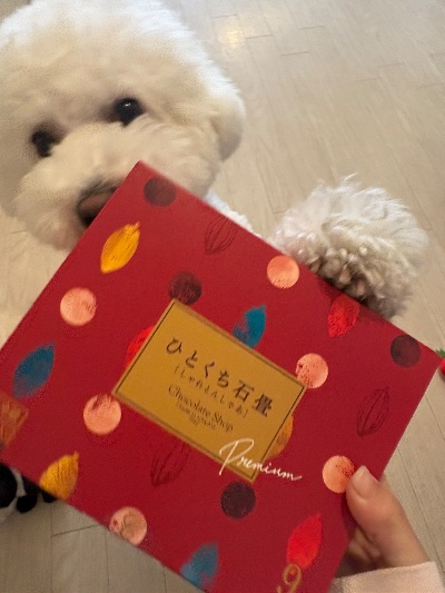 クラブ ロエ くれは おいしい〜( ꈍ◡ꈍ)🩷1