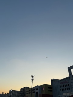 クラブ ロエ まみ 明けましておめでとうございます♩1