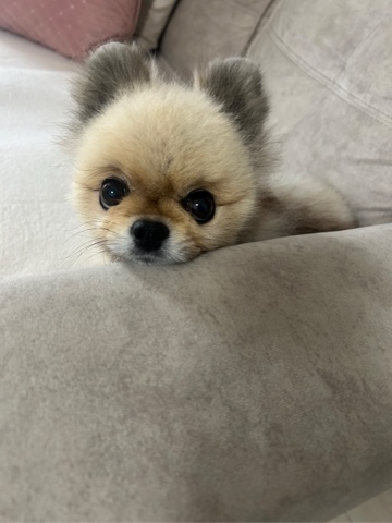 クラブ ルーフ のぞみ 🤭1