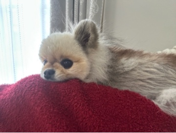 クラブ ライズ のぞみ 🐶💕1