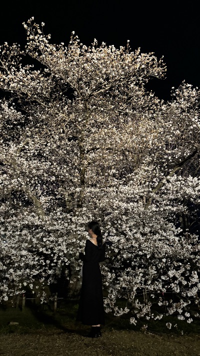 中洲　キャバクラ　キャバ嬢日記