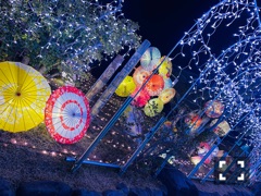 クラブ ルーフ れいか RUFれいか1