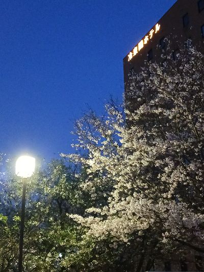 中洲　キャバクラ　キャバ嬢日記