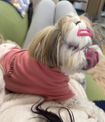 クラブ ロエ 優 ロエ🌟1